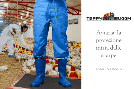 Aviaria: Come proteggere casa e ambienti . La protezione inizia dalle porta d'ingresso.