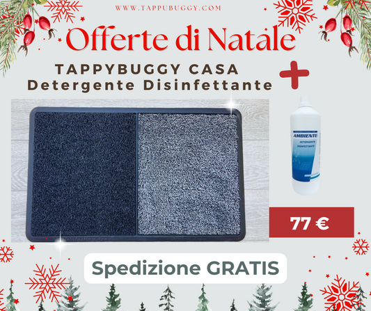 Offerta Natale Protezione Casa